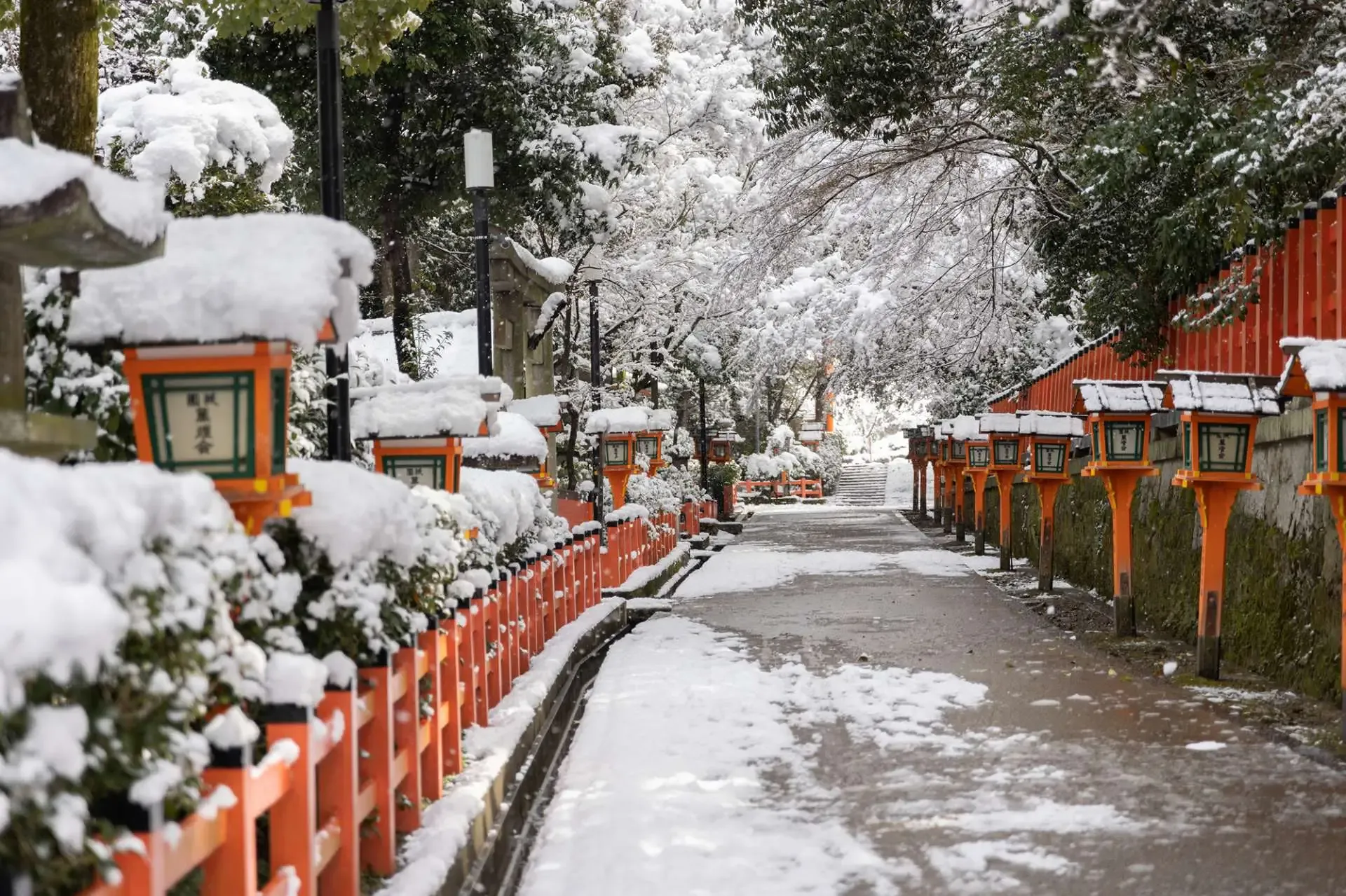八坂神社の写真 4