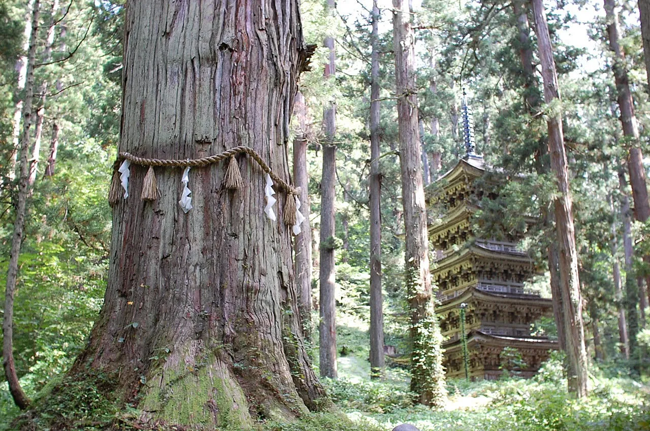 出羽三山神社の写真 10